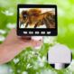 MIKROSKOP CYFROWY Z WYŚWIETLACZEM LCD 1000x 1080P 8 LED INSKAM-307 + SZMATKA ŚCIERECZKA Z MIKROFIBRY KRZYMARK