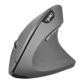 MYSZKA PIONOWA HXSJ T24 BEZPRZEWODOWA ERGONOMICZNA SZARA