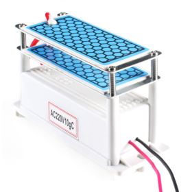 OZONATOR GENERATOR OZONU 10G/H AC220V Z 2 PŁYTKAMI CERAMICZNYMI