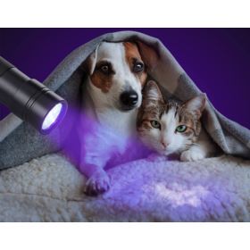 LATARKA UV DO UTWARDZANIA KLEJU LOCA 87x26mm ALUMINIOWA