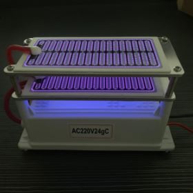OZONATOR GENERATOR OZONU 10G/H AC220V Z 2 PŁYTKAMI CERAMICZNYMI
