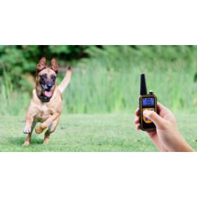 OBROŻA ELEKTRYCZNA TRENINGOWA DLA PS&Oacute;W Z PILOTEM