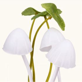 LAMPKA NOCNA Z CZUJNIKIEM ZMIERZCHU GRZYBY