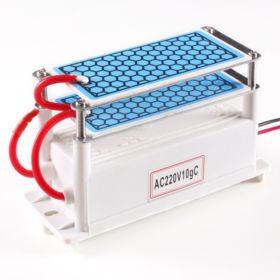 OZONATOR GENERATOR OZONU 10G/H AC220V Z 2 PŁYTKAMI CERAMICZNYMI