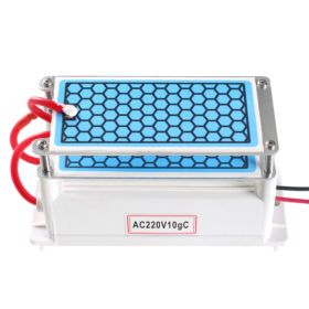 OZONATOR GENERATOR OZONU 10G/H AC220V Z 2 PŁYTKAMI CERAMICZNYMI