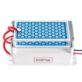 OZONATOR GENERATOR OZONU 10G/H AC220V Z 2 PŁYTKAMI CERAMICZNYMI