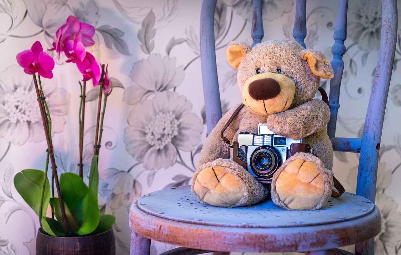 Pluszowy miś z aparatem na krześle obok kwiatów